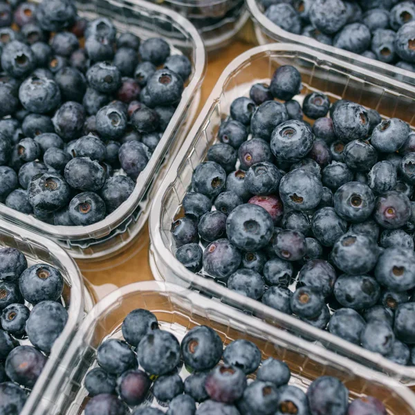 English Blueberries