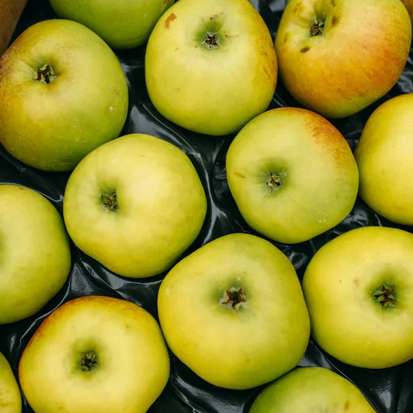 Bramley cooking Apples