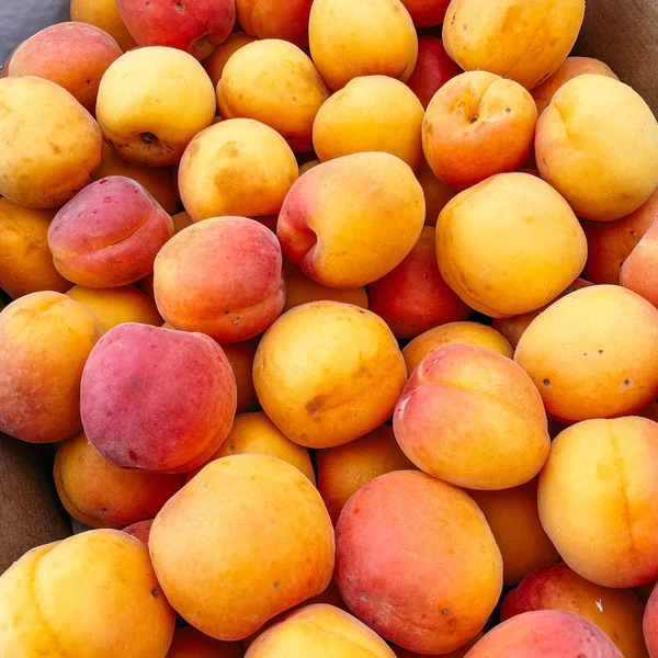 Apricots
