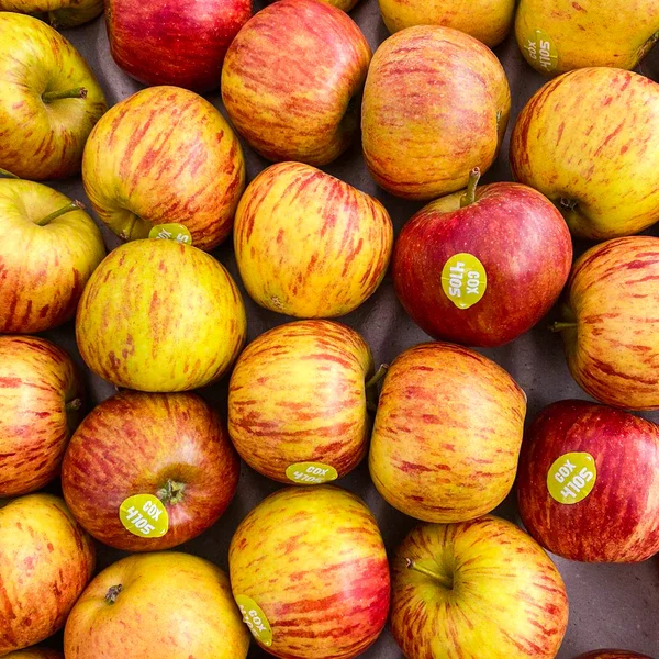 Cox's Apples