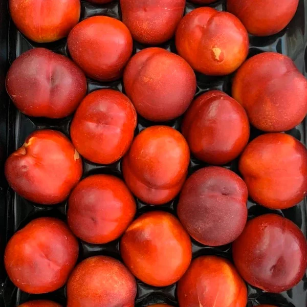 Nectarines